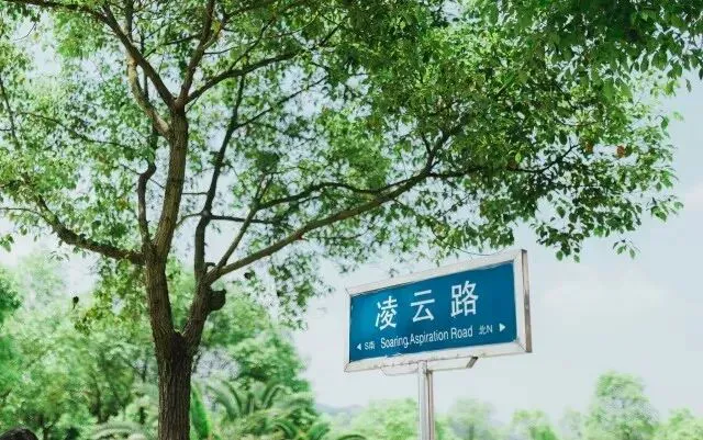篮球周期训练计划怎么写范文_1